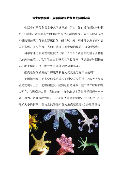 仿生壁虎脚掌,成就防滑系数最高的防滑鞋套