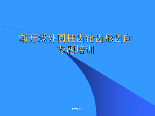 齿轮的齿形齿向介绍  ppt课件