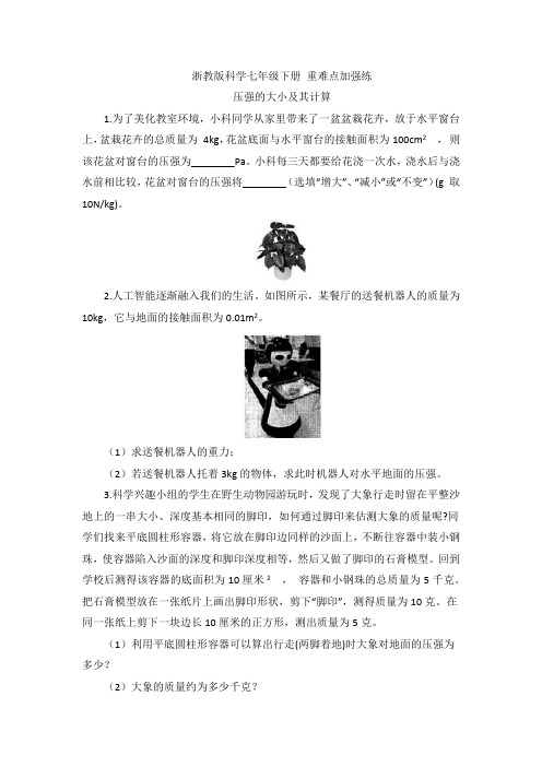 浙教版科学七年级下册 重难点加强练 压强的大小及其计算 专题练习(含解析)