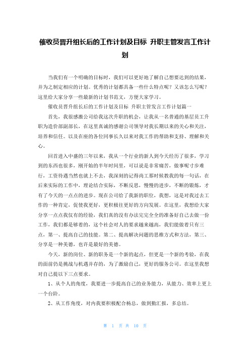 催收员晋升组长后的工作计划及目标 升职主管发言工作计划