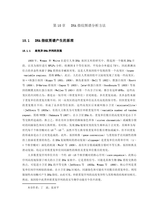 DNA指纹图谱分析方法101DNA指纹图谱产生的原理