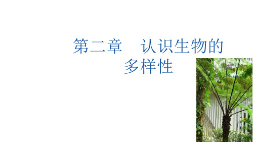 第二章 认识生物的多样性课件2024-2025学年人教版生物八年级上册