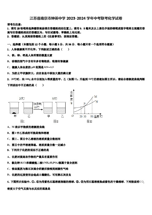 江苏省南京市钟英中学2023-2024学年中考联考化学试卷含解析