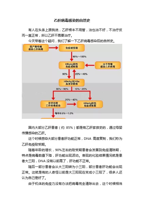 乙肝病毒感染的自然史