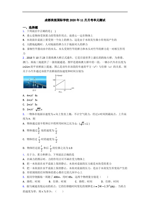 成都美视国际学校2020年11月月考单元测试