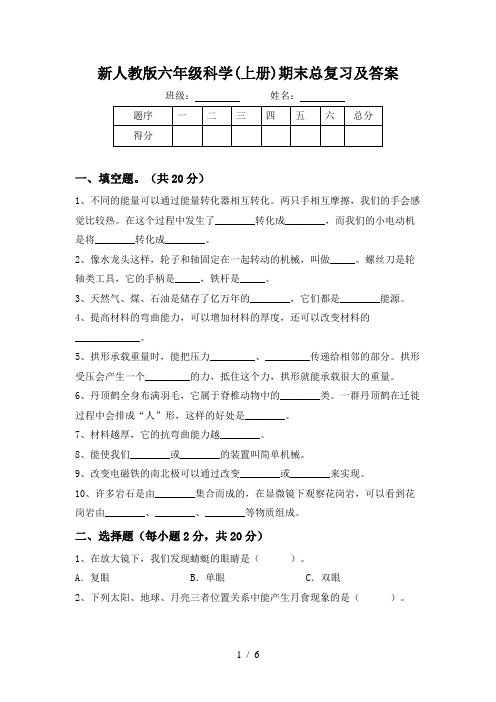 新人教版六年级科学(上册)期末总复习及答案