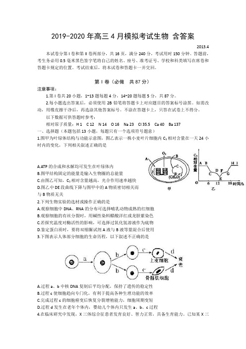 2019-2020年高三4月模拟考试生物 含答案