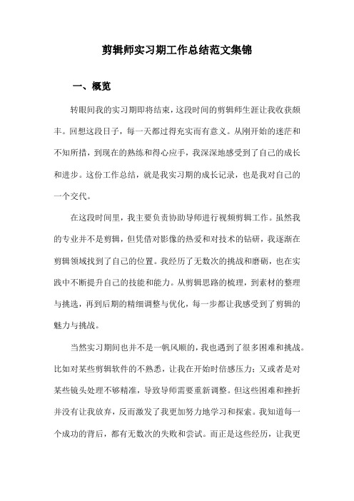 剪辑师实习期工作总结范文集锦