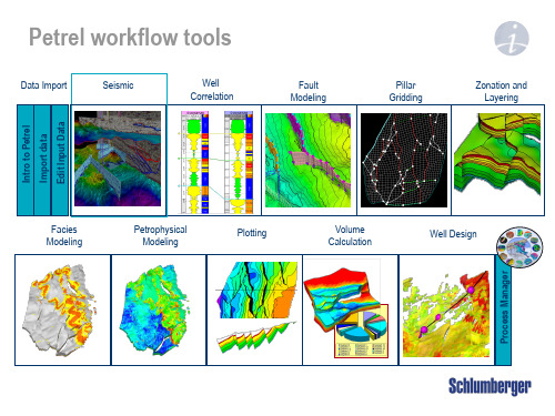 Petrel官方地震解释培训M1_2_Data_Import_Cube_handling_and_QC
