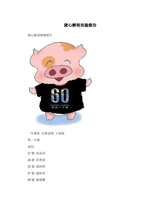 猪心解剖实验报告