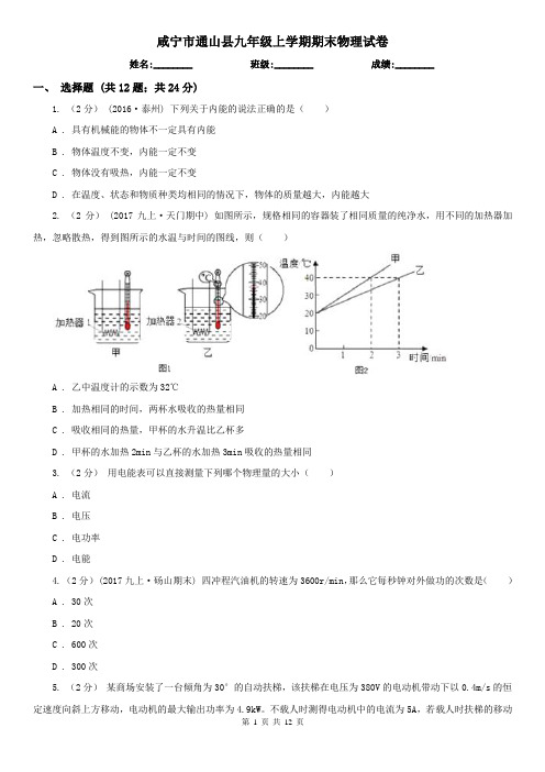 咸宁市通山县九年级上学期期末物理试卷