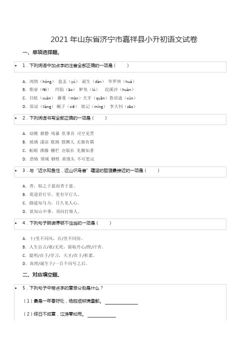 2021年山东省济宁市嘉祥县小升初语文试卷