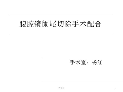 腹腔镜阑尾切除手术配合 PPT