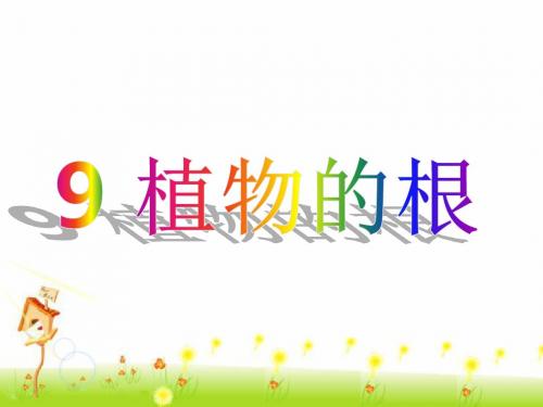 青岛版四年级科学上册 《9 植物的根》课件1