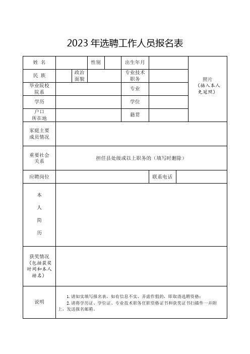 2023年选聘工作人员报名表