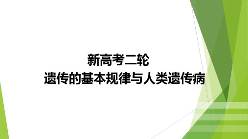 新高考二轮遗传的基本规律与人类遗传病课件