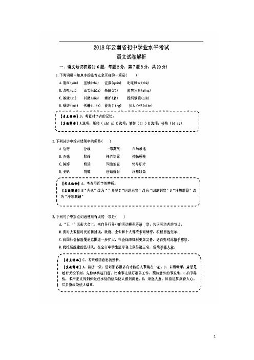 【复习必备】2019【提分必备】云南省中考语文真题试题(扫描版,含解析)