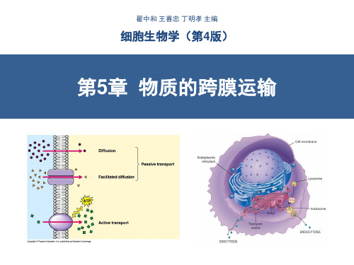 细胞生物学-物质的跨膜运输(翟中和第四版)-含注释!!!