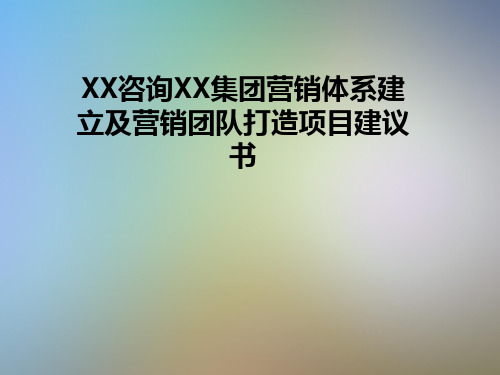 XX咨询XX集团营销体系建立及营销团队打造项目建议书