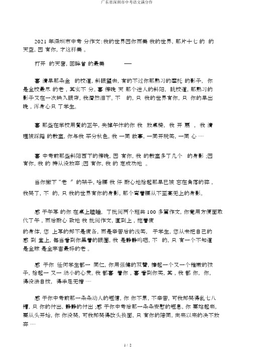 广东省深圳市中考语文满分作