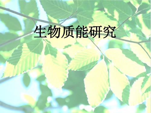 生物质能报告