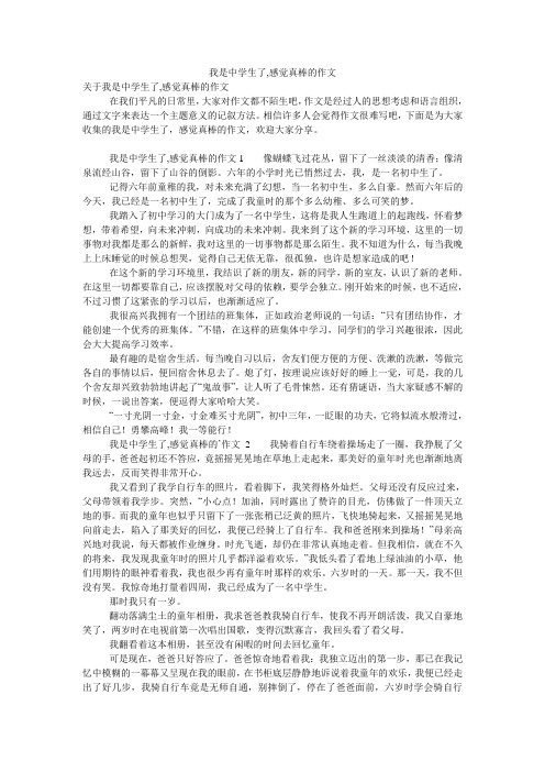 我是中学生了,感觉真棒的作文