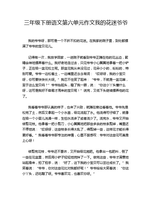 三年级下册语文第六单元作文我的花迷爷爷