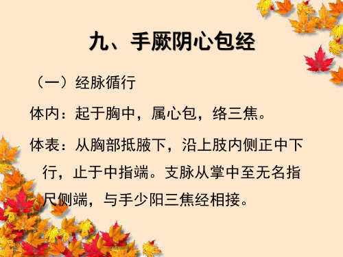 《针灸学》手厥阴心包经