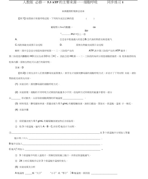 高中生物5.3《ATP的主要来源细胞呼吸》同步练习1新人教版必修1