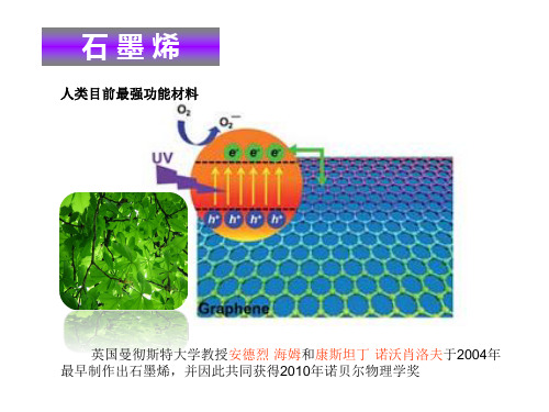 特种功能材料 石墨烯