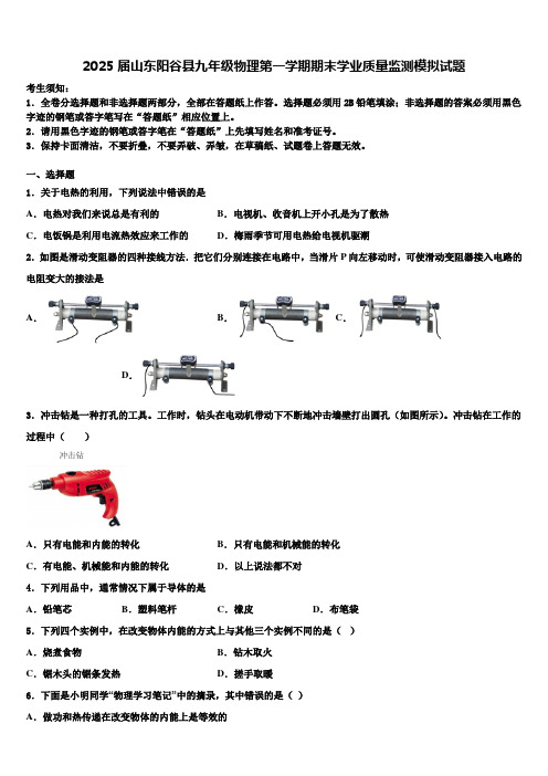 2025届山东阳谷县九年级物理第一学期期末学业质量监测模拟试题含解析