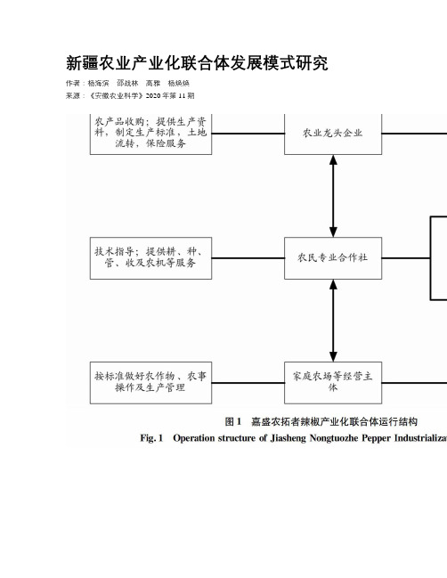 新疆农业产业化联合体发展模式研究