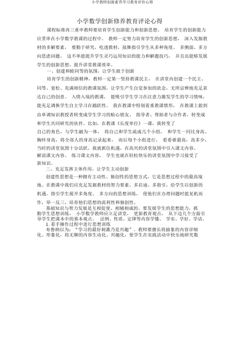 小学教师创新素养学习教育评价心得