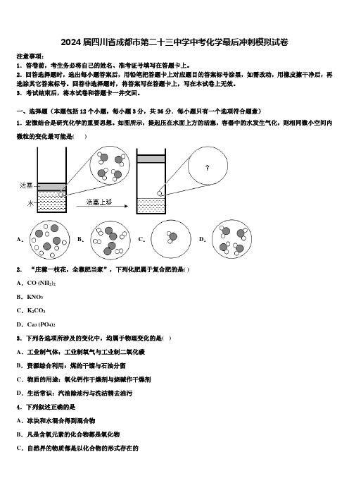 2024届四川省成都市第二十三中学中考化学最后冲刺模拟试卷含解析