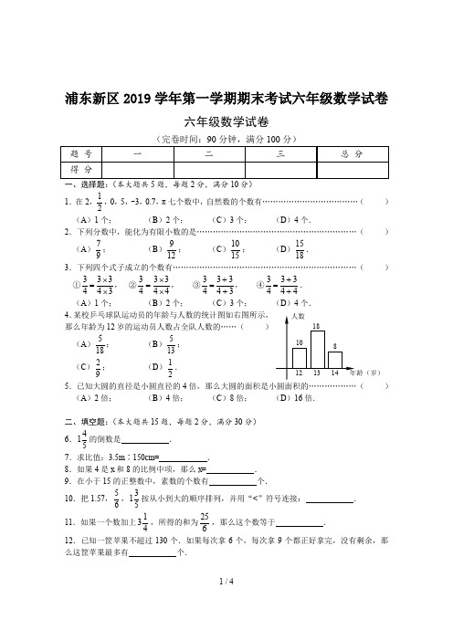 浦东新区2019学年第一学期期末考试六年级数学试卷