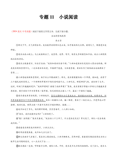 专题11  小说阅读(第01期)-(全国通用)(教师版)-2024年中考语文真题分类汇编