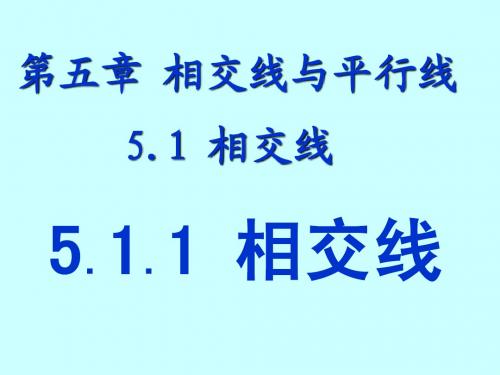 新人教版七年级下册数学第五章5.1.1_相交线