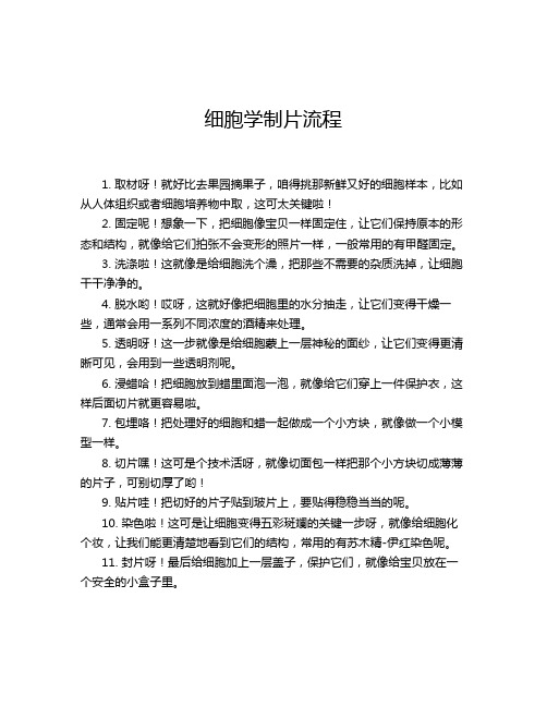 细胞学制片流程