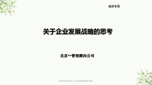 某知名咨询公司-企业发展战略规划方案课件