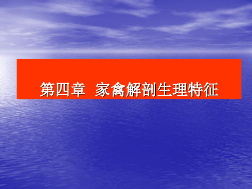 动物解剖生理——家禽篇ppt课件