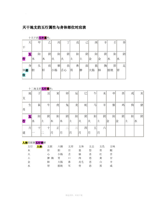 天干地支的五行属性与身体部位对应表