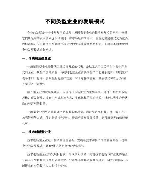 不同类型企业的发展模式