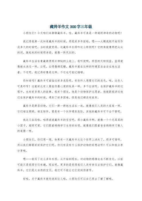 藏羚羊作文300字三年级