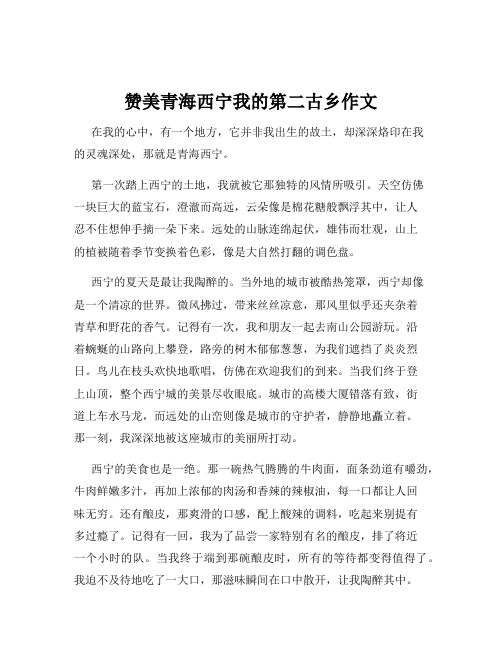 赞美青海西宁我的第二古乡作文