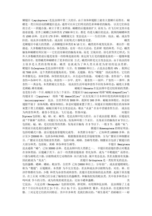 昆虫分类