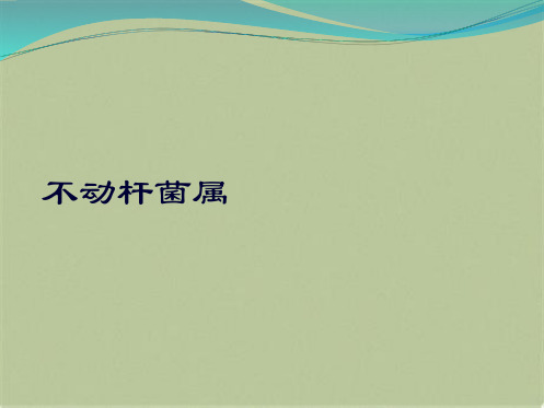 不动杆菌属(共10张PPT)