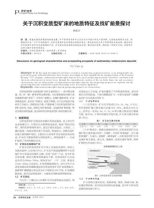 关于沉积变质型矿床的地质特征及找矿前景探讨