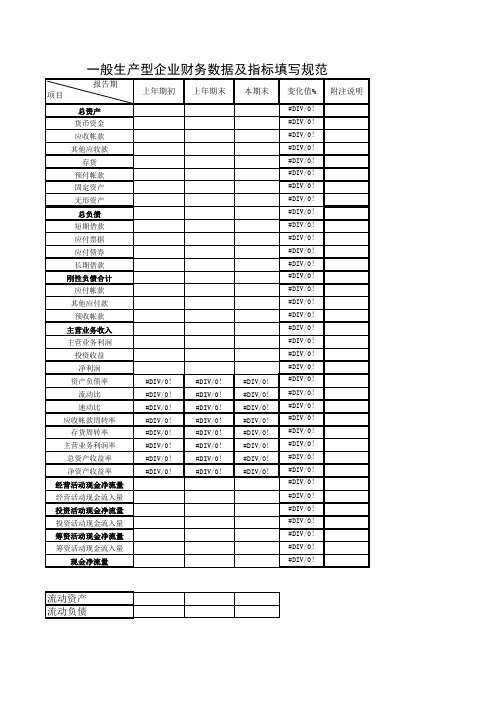 财务分析表(10版-明细：货币资金、应收帐款 其他应收款、预付帐款、存货、固定资产、无形资