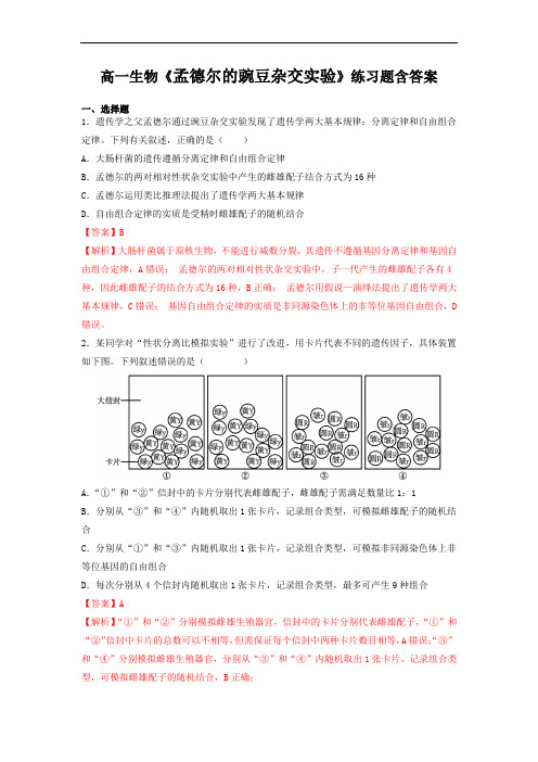 高一生物《孟德尔的豌豆杂交实验》练习题含答案