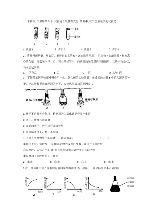 呼吸作用限时训练